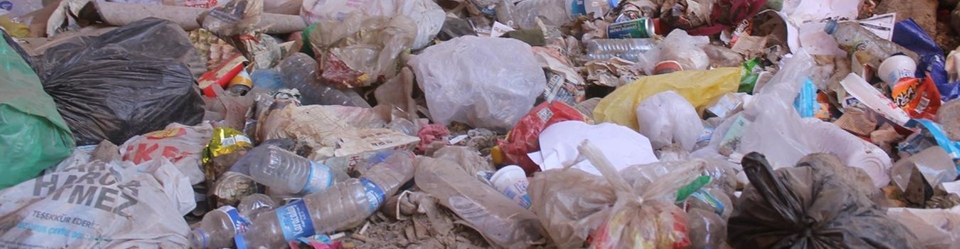 Aradığını çöpte bulacaksın